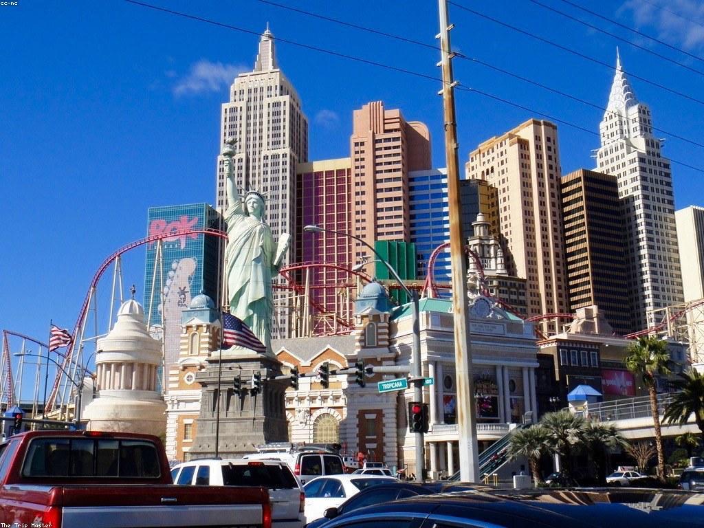 ααΆαααααα½αααΆαααΈααΌ: αααα·αααααααααΈαααααΆααα’αααα
αΌααα½α